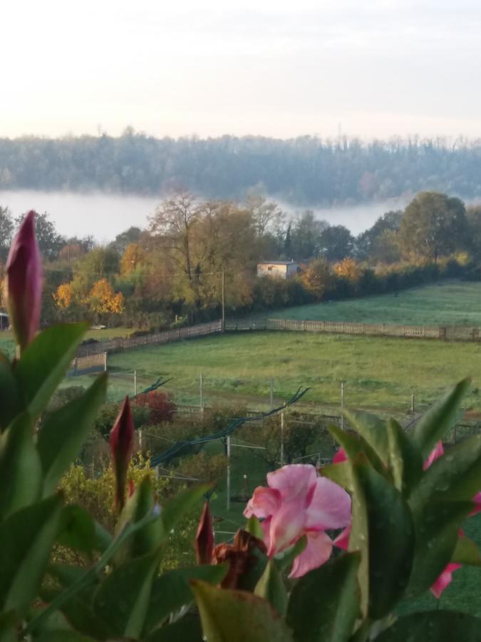 Le Vigne Sull'Adda Bed and Breakfast Bottanuco Exterior foto