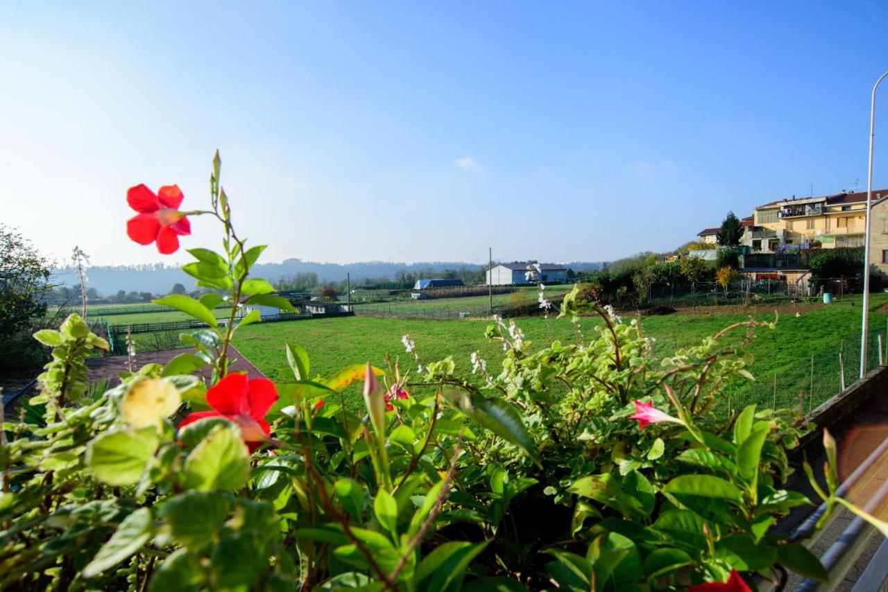 Le Vigne Sull'Adda Bed and Breakfast Bottanuco Exterior foto